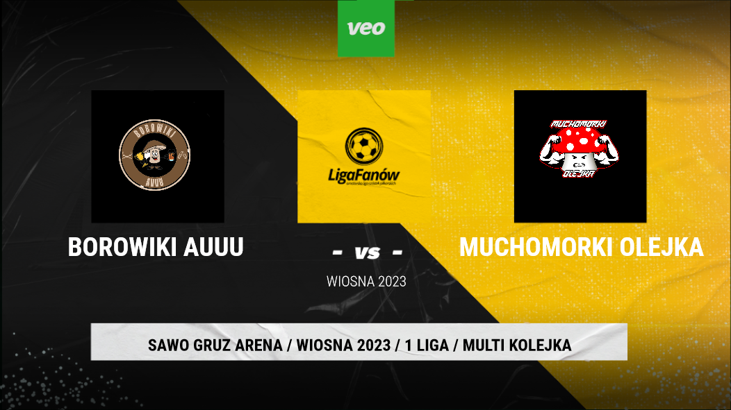 MUCHOMORKI - BOROWIKI 